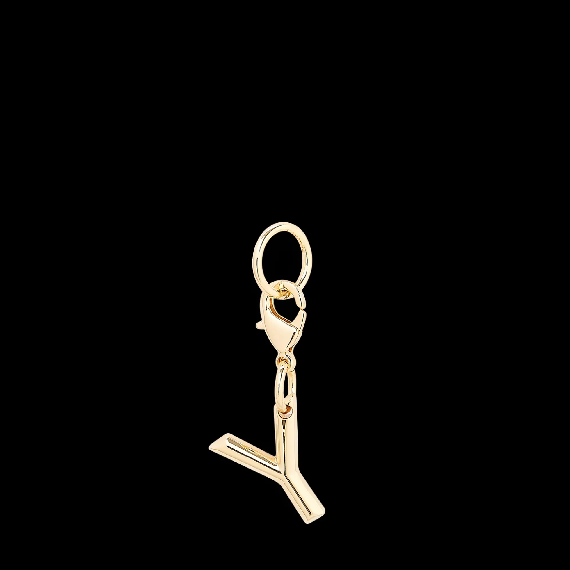 Charm lettre Y